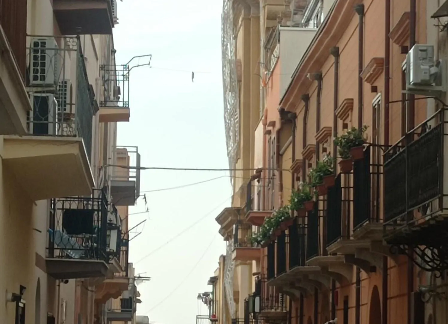 Golden House Apartment Castellammare del Golfo